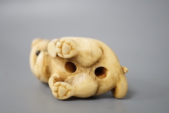 A 19th century Japanese carved ivory ‘dog’ netsuke 3cm tall